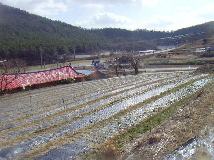전남 해남군 화원면 전 경매 물건 사진 3 · 2025타경50340