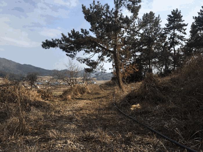 전남 진도군 의신면 단독주택 경매 물건 사진 4 · 2025타경50343