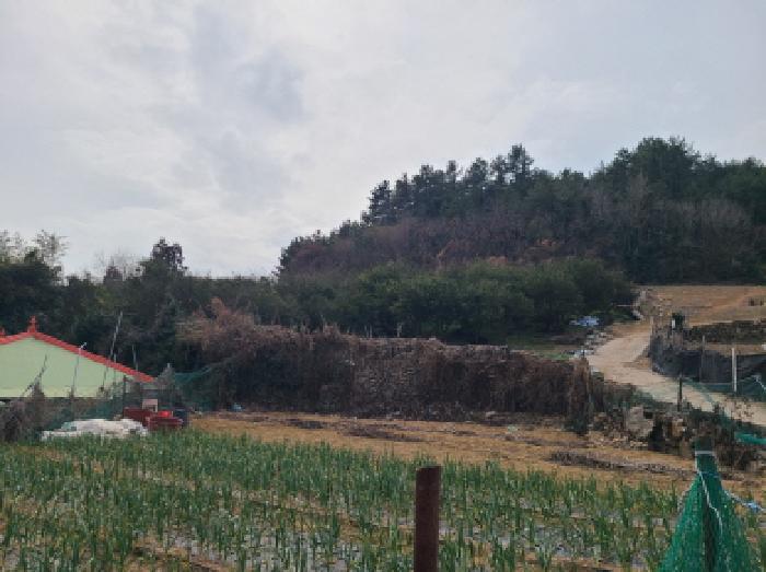 전남 완도군 금일읍 전 경매 물건 사진