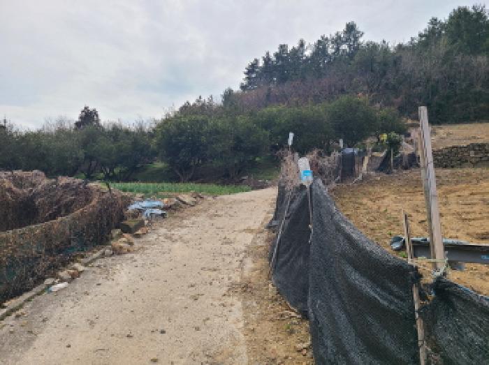 전남 완도군 금일읍 전 경매 물건 사진 5 · 2025타경50349