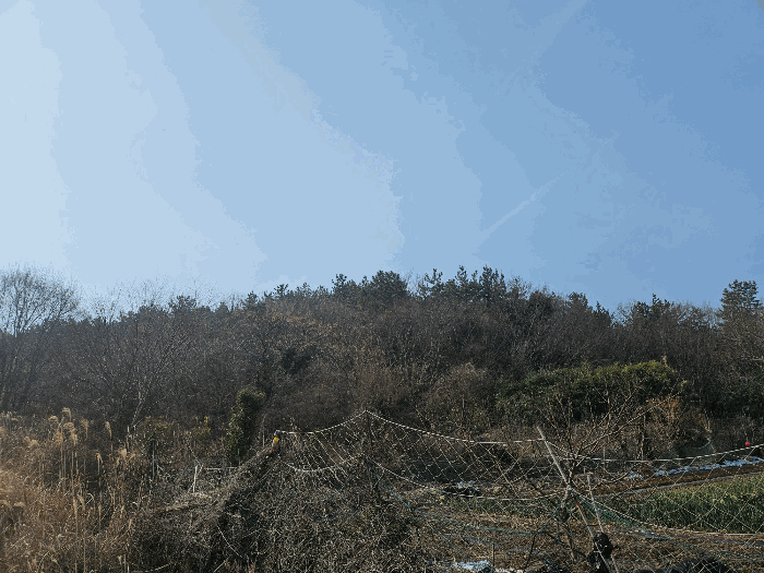 전남 완도군 생일면 임야 경매 물건 사진 4 · 2025타경50355
