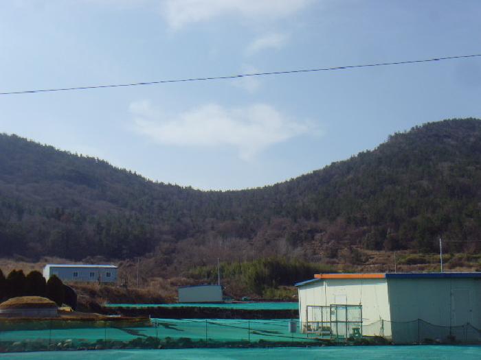 전남 완도군 생일면 임야 경매 물건 사진