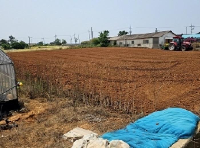 전남 해남군 마산면 전답 경매 물건 사진 3 · 2025타경50447