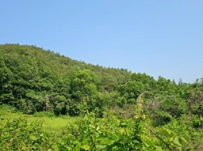 전남 해남군 마산면 임야 경매 물건 사진
