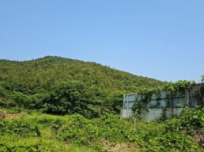 전남 해남군 마산면 임야 경매 물건 사진 2 · 2025타경50456