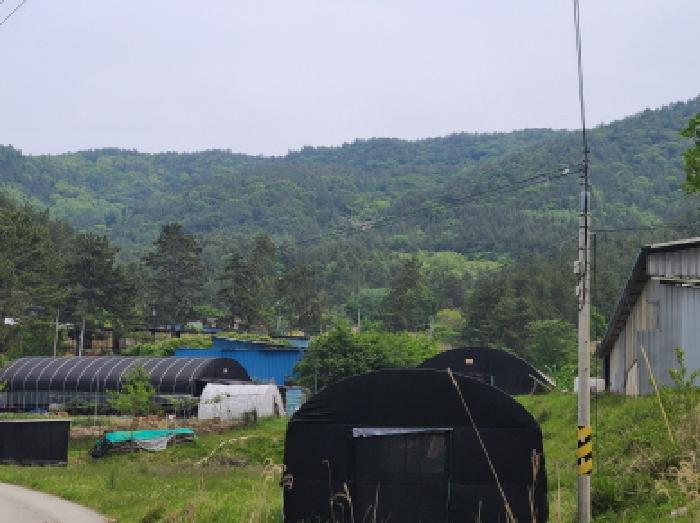 전남 완도군 약산면 임야 경매 물건 사진 3 · 2025타경50458