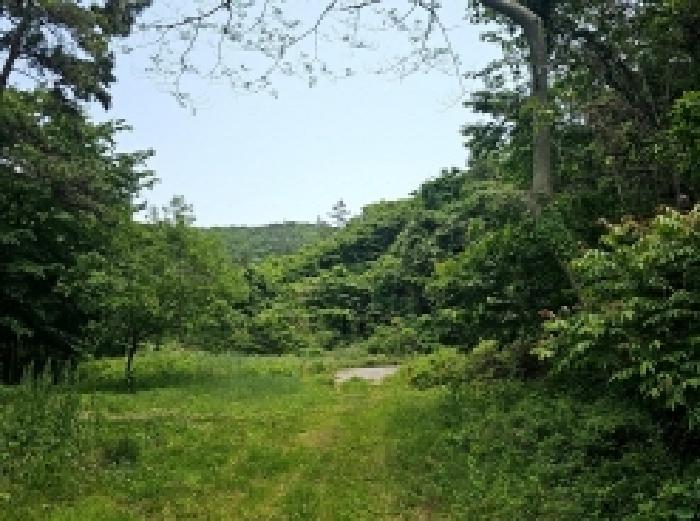전남 진도군 진도읍 답 경매 물건 사진 2 · 2025타경50468
