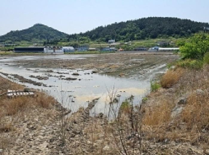 전남 진도군 진도읍 답 경매 물건 사진 3 · 2025타경50468