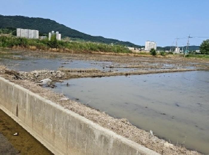 전남 진도군 진도읍 답 경매 물건 사진 4 · 2025타경50468