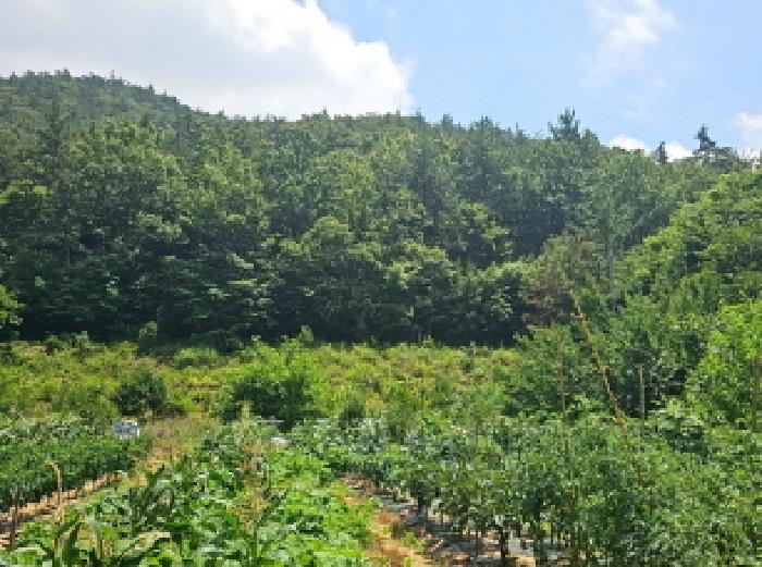 전남 해남군 삼산면 도로 경매 물건 사진 6 · 2025타경50481