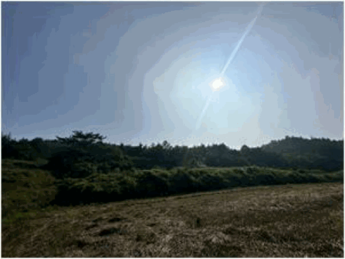 전남 해남군 송지면 임야 경매 물건 사진 5 · 2025타경50502