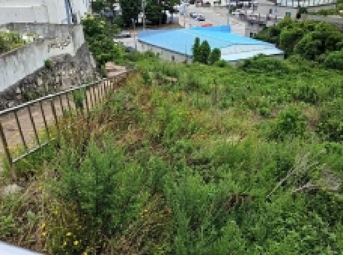 전남 완도군 완도읍 대지 경매 물건 사진