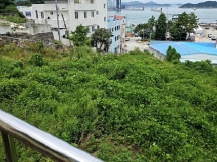 전남 완도군 완도읍 대지,임야,전답 경매 물건 사진 2 · 2025타경50506