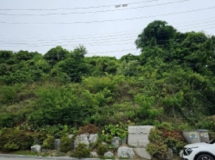전남 완도군 완도읍 대지,임야,전답 경매 물건 사진 3 · 2025타경50506