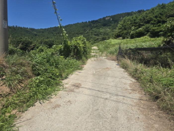 전남 완도군 청산면 임야 경매 물건 사진