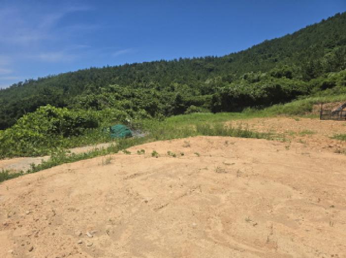 전남 완도군 청산면 도로 경매 물건 사진 4 · 2025타경50535