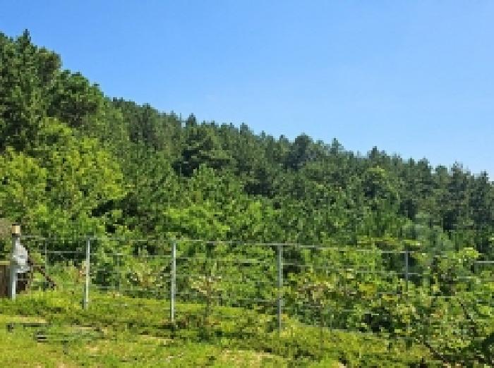 전남 해남군 화산면 단독주택 경매 물건 사진 2 · 2025타경50537