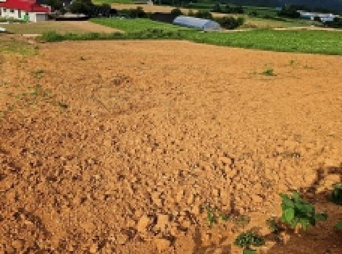 전남 해남군 마산면 임야 경매 물건 사진 2 · 2025타경50544