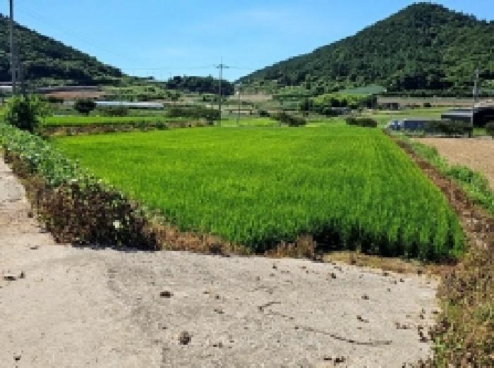 전남 진도군 의신면 전답 경매 물건 사진 6 · 2025타경50550