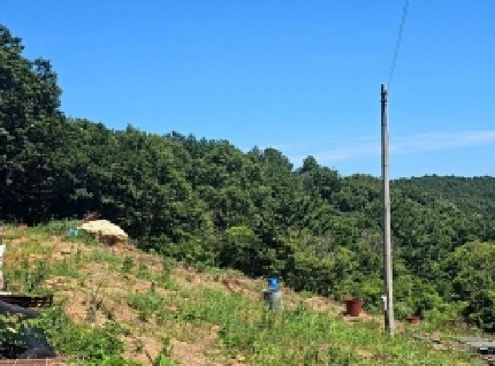 전남 완도군 완도읍 전답 경매 물건 사진