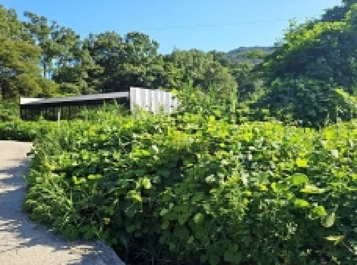 전남 해남군 계곡면 답 경매 물건 사진 5 · 2025타경50567