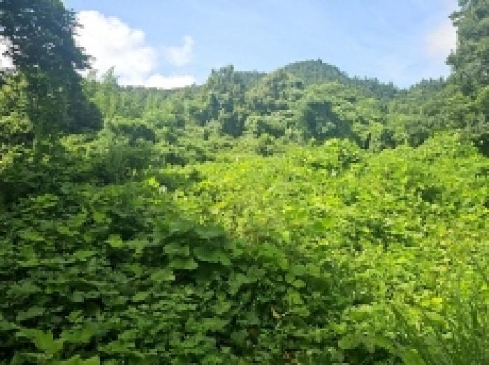 전남 해남군 화원면 전답 경매 물건 사진
