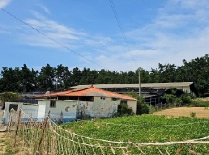 전남 해남군 문내면 동물및식물관련시설 경매 물건 사진 3 · 2025타경50576