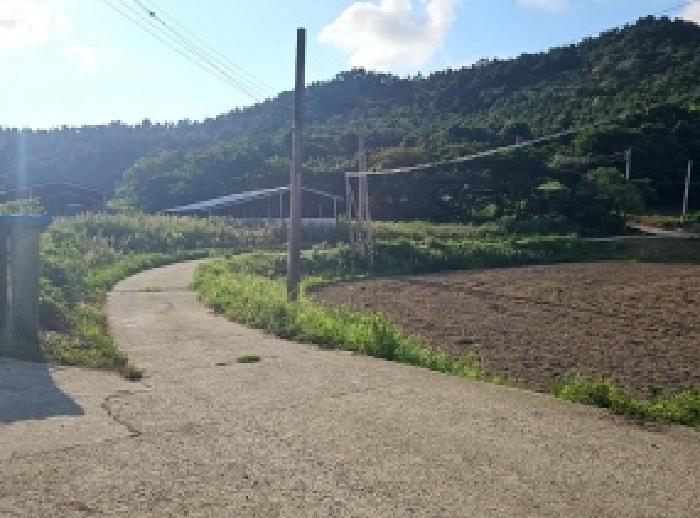 전남 해남군 현산면 임야 경매 물건 사진 3 · 2025타경50577