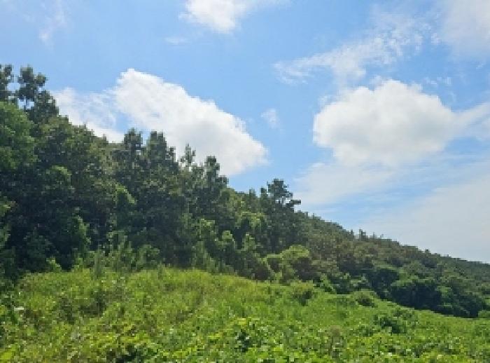 전남 해남군 화원면 임야 경매 물건 사진 4 · 2025타경50588
