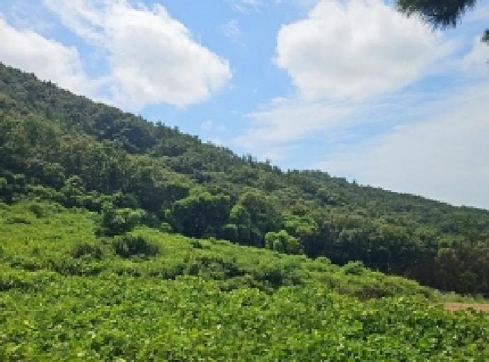 전남 해남군 화원면 임야 경매 물건 사진 5 · 2025타경50588