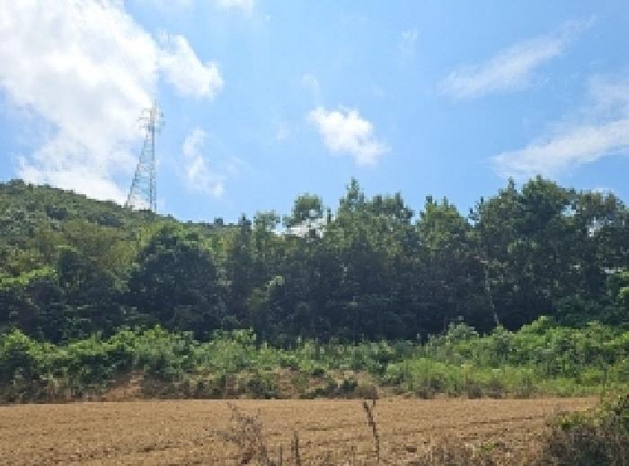 전남 해남군 화원면 임야 경매 물건 사진 6 · 2025타경50588