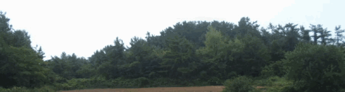 전남 해남군 문내면 전 경매 물건 사진 6 · 2025타경50601
