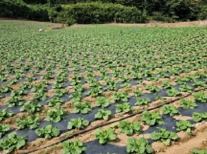 전남 해남군 북평면 전답 경매 물건 사진 3 · 2025타경50626