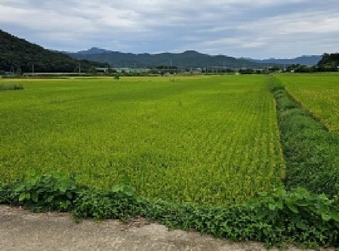 전남 해남군 옥천면 전답 경매 물건 사진