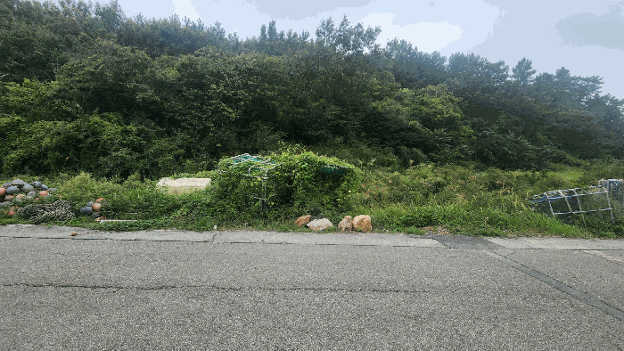 전남 완도군 신지면 답 경매 물건 사진 5 · 2025타경50647