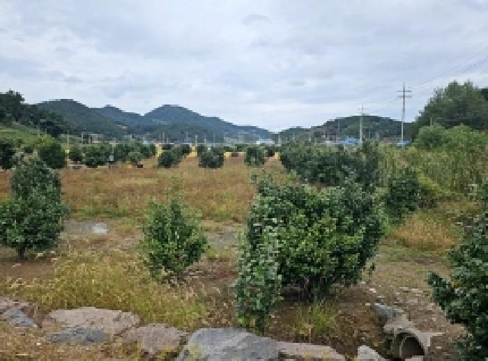 전남 진도군 진도읍 전답 경매 물건 사진