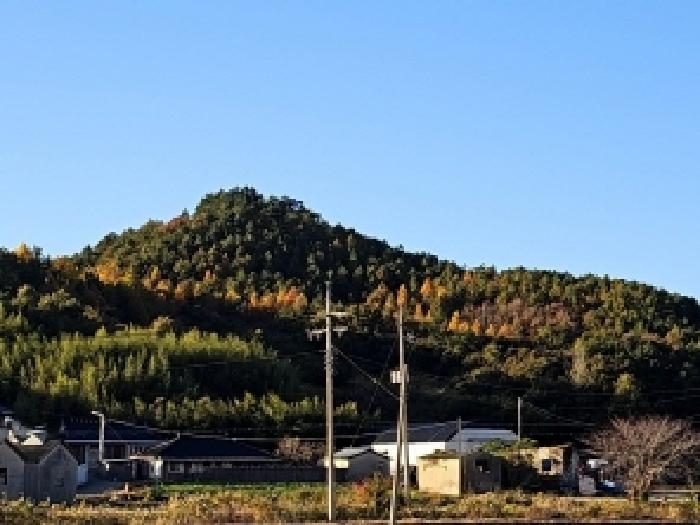 전남 해남군 송지면 임야 경매 물건 사진