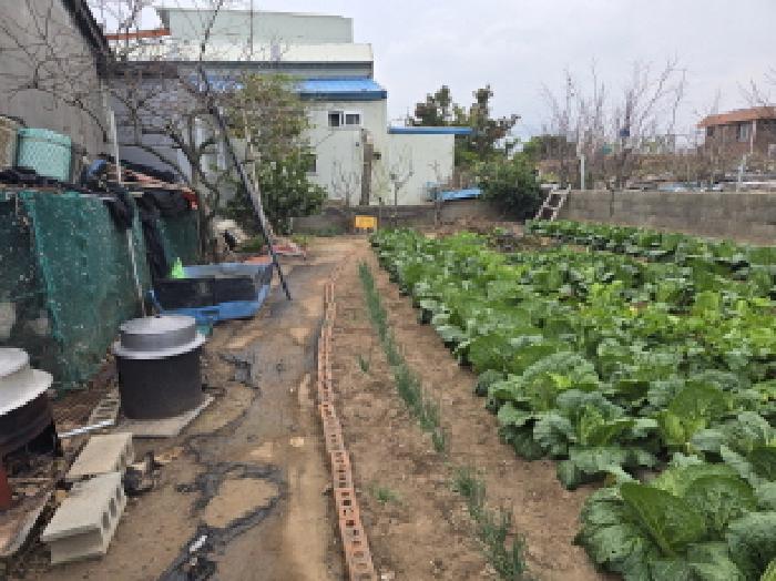 전남 완도군 노화읍 전 경매 물건 사진 2 · 2025타경50696