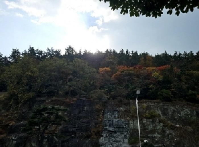 전남 완도군 완도읍 임야 경매 물건 사진