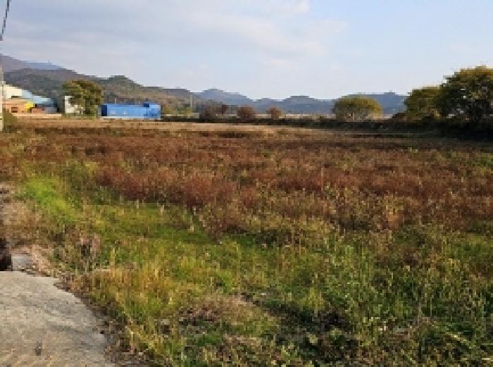 전남 해남군 현산면 전 경매 물건 사진