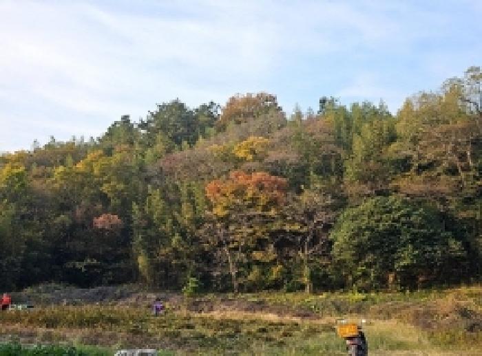 전남 해남군 현산면 전 경매 물건 사진 3 · 2025타경50714