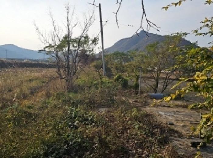전남 해남군 현산면 전 경매 물건 사진 4 · 2025타경50714