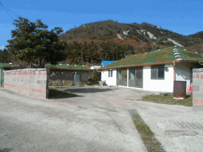 전라남도 진도군 조도면 신육리 산44 임야 경매 물건 사진