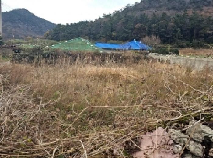 전남 진도군 조도면 임야 경매 물건 사진 5 · 2025타경50716