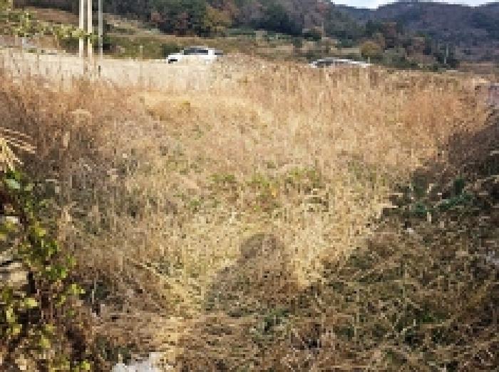 전남 진도군 조도면 임야 경매 물건 사진 6 · 2025타경50716