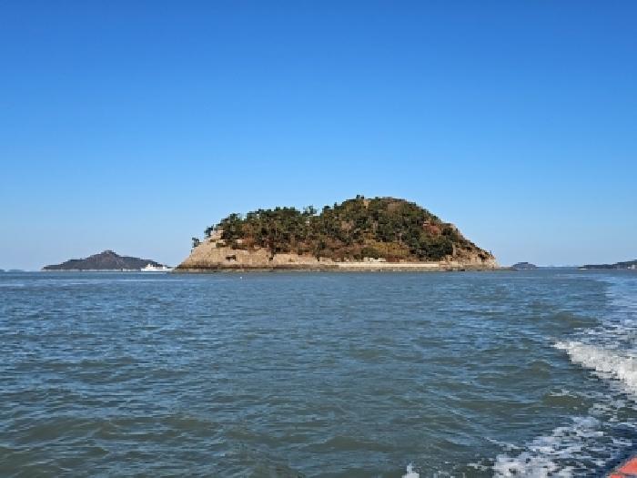 전남 진도군 진도읍 임야 경매 물건 사진