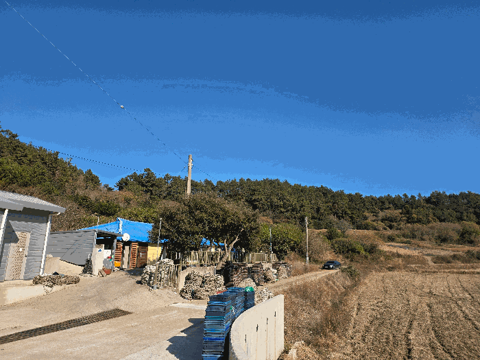 전남 완도군 노화읍 전 경매 물건 사진 2 · 2025타경50733