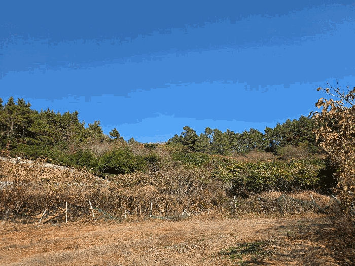 전남 완도군 노화읍 전 경매 물건 사진 3 · 2025타경50733