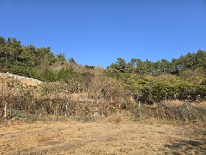 전남 완도군 노화읍 전 경매 물건 사진