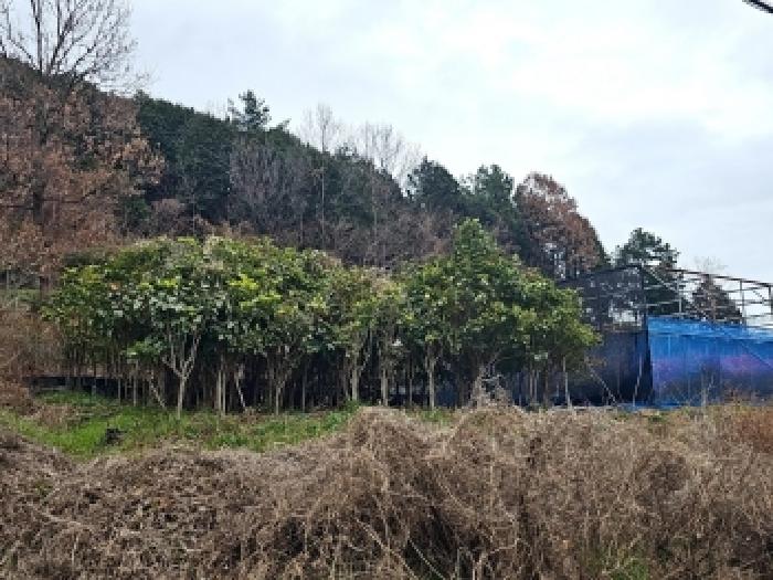 전남 해남군 현산면 도로 경매 물건 사진 3 · 2025타경50749